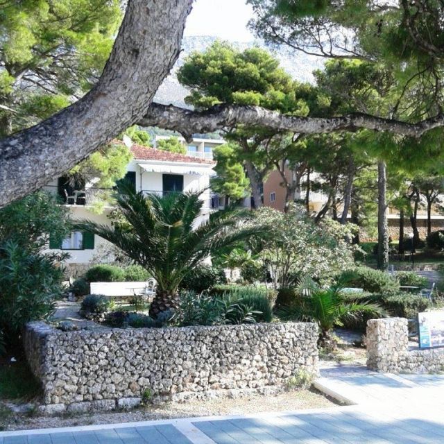 south garden