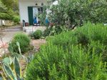 A1 garden